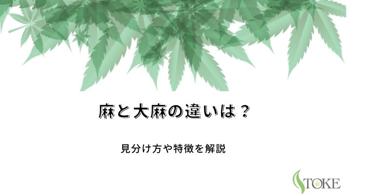 麻と大麻の違いは 見分け方や特徴を解説 Stoke